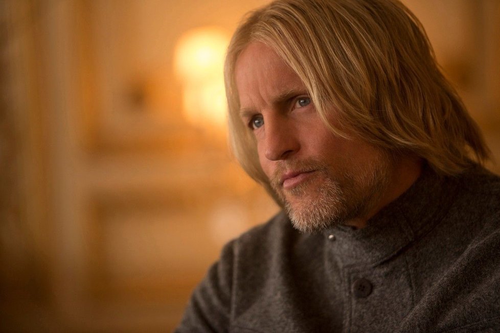 Woody Harrelson (Haymitch)