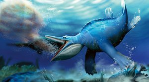 Ještěr Hupehsuchus s velrybí tlamou: Evoluce překvapila!