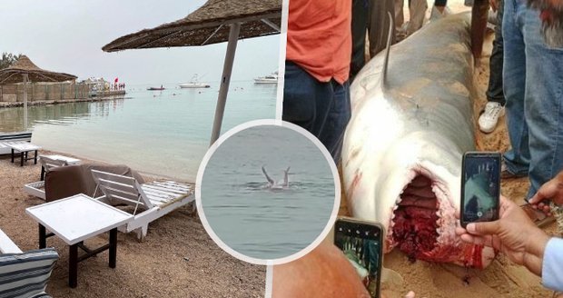 Vladimira v Egyptě roztrhal žralok: Zdrcený táta převzal jeho ostatky!
