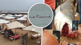 Hurghada po smrtícím útoku žraloka na turistu (†23): Zavřené pláže i občasný strach