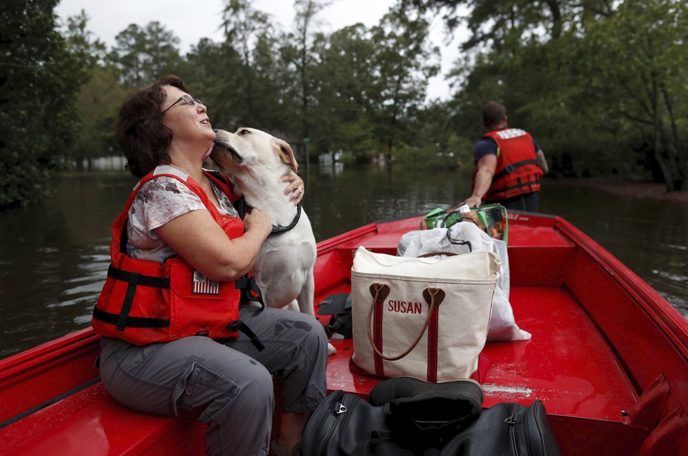 Mnozí Američané při evakuaci před hurikánem Florence své mazlíčky neopustili.