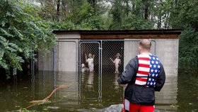 Na některých místech USA už uklízí následky hurikánu Florence, jinde se připravují na další vlnu. Vichr a silné lijáky mohou trvat podle odborníků ještě několik dní.