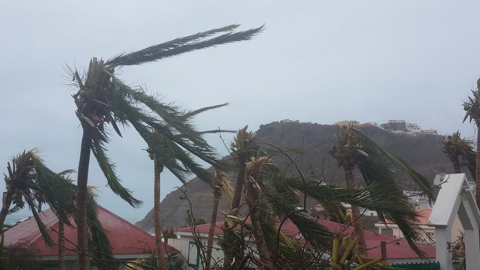 Strašákem Spojených států i Karibiku byl v první polovině září hurikán Irma – jeden z největších v historii. Úřady kvůli němu evakuovaly přes 7 milionů lidí a vyžádal si více jak 100 obětí. Odnášel stromy, střechy i lodě a dosahoval rychlosti až 302 kilometrů za hodinu. S jeho důsledky se hlavně malé karibské ostrovy, z nichž některé záhy postihl i hurikán Maria, budou vyrovnávat roky.