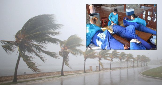 Z Kuby kvůli hurikánu evakuovali delfíny.