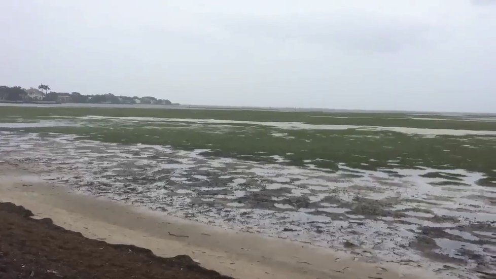 Hurikán Irma vysál vodu z oceánu na Floridě.