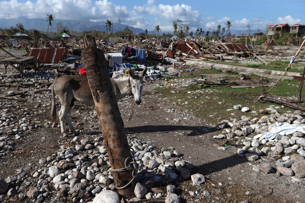 Předchozí řádění hurikánu na Haiti si podle nejnovější bilance vyžádalo nejméně 877 mrtvých