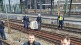 Husa zastavila provoz na nádraží: Chytaly ji dvě policejní hlídky