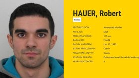 Robert Hauer si má odsedět 8 let za pokus o vraždu.