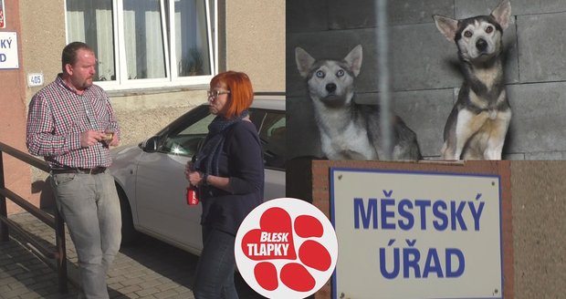 Týraná zvířata trpí, úředníci i sousedé tápou. Kdo a kdy může zasáhnout poradí příručka 