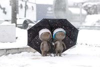 Mimozemšťané se ztratili v Brně: Pobláznění lidé je strojí podle počasí