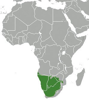 Oblast výskytu hyeny čabrakové