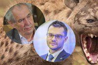 Slova o hyenách rozlítila Polčáka. „Zeman je vůdce smečky,“ vypěnil europoslanec