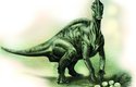 Je zřejmé, že dospělí hadrosauridi nemohli na svých vajíčkách sedět