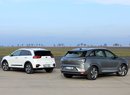 Hyundai Nexo vs. Kia e-Niro