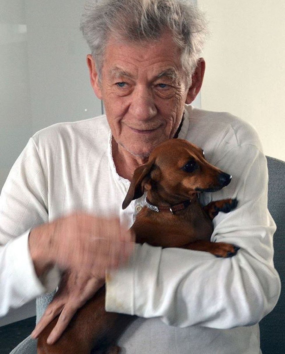 Ian McKellen je velkým milovníkem psů