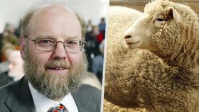 Zemřel britský vědec Ian Wilmut, jehož tým naklonoval ovci Dolly.