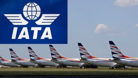 IATA žádá o podporu letecké dopravy, 30 tisíc lidí může přijít o práci.