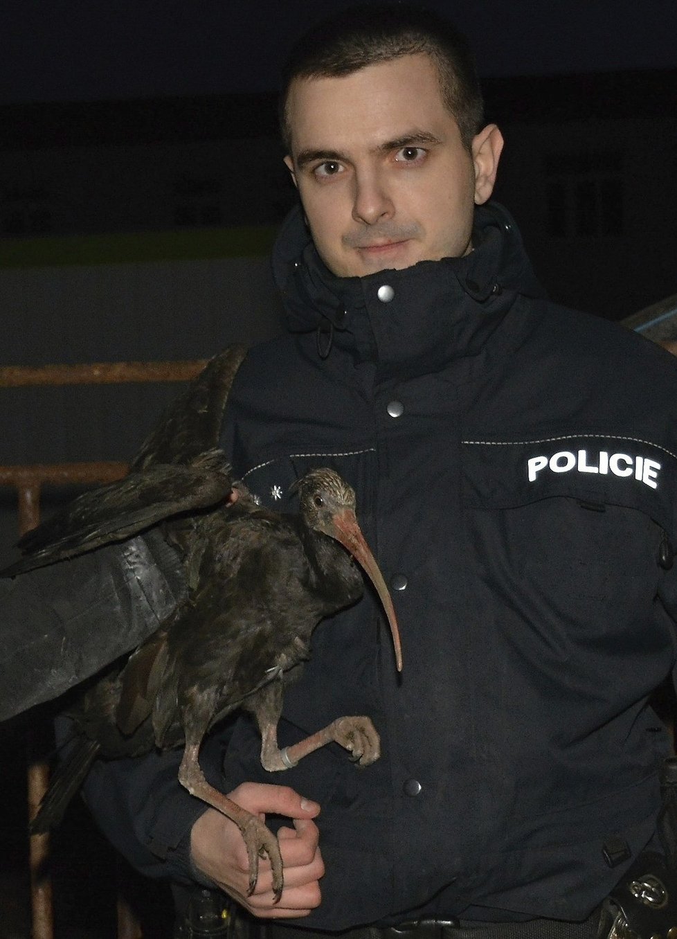 Policista Adam Šimůnek odchytil sedmého ibisa skalního.