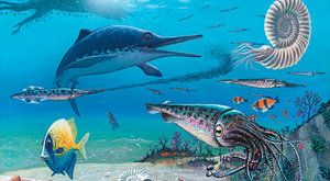Přepálený start: Nadvláda pravěkých ještěrů ichtyosaurů byla krátká