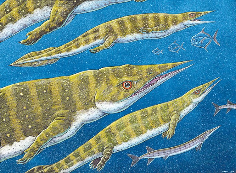 Gunakadeit joseeae z Aljašky je nově popsaný druh ichtyosaura
