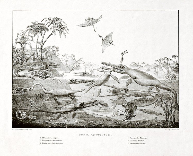 Ichtyosauři byli popsáni už na počátku 19. století. Obrázek je z roku 1830
