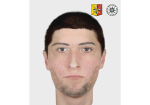 Identikit pachatele, který se pokusil znásilnit ženu v Letenských sadech