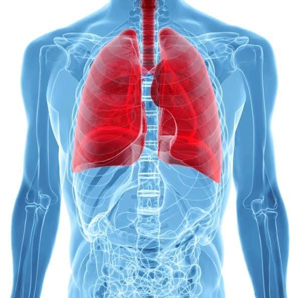 Idiopatická plicní fibróza (IPF) ročně v České republice zabije desítky pacientů.