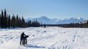 Iditarod Trail Invitational je nejdelší a nejnáročnější zimní závod, který dokončí jen hrstka dobrodruhů.