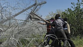 Uprchlíci v Idomeni na řecko-makedonské hranici ničí plot.