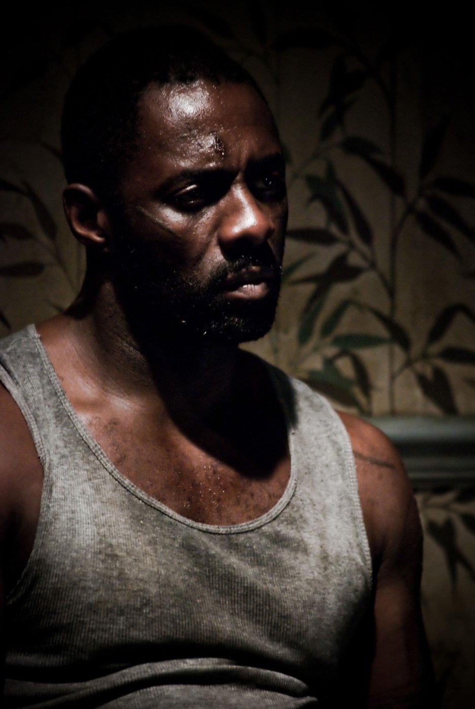 Idris Elba zazářil především v detektivním seriálu Luther