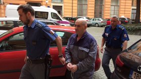 Makedonec Idriz Zekiri (61) nemá nárok na obnovu soudního řízení. Rozhodl tak Krajský soud v Brně, který mu tak potvrdil trest na 7,5 roku vězení za pašování skoro kila heroinu do České republiky.