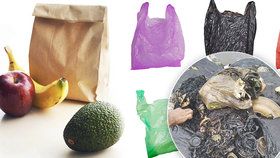 Papírová taška zlem, igelitka je ekologičtější. Bez recyklace ale končí v žaludcích ryb