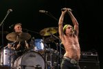 Pražské hudební festivaly přilákaly 50 tisíc návštěvníků: Zahrál jim Iggy Pop či The Foals.