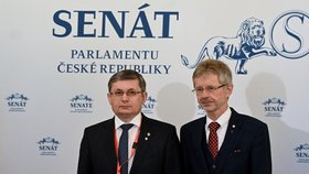 Šéf Senátu Miloš Vystrčil a Igor Grosu z Moldávie (24.4.2023)