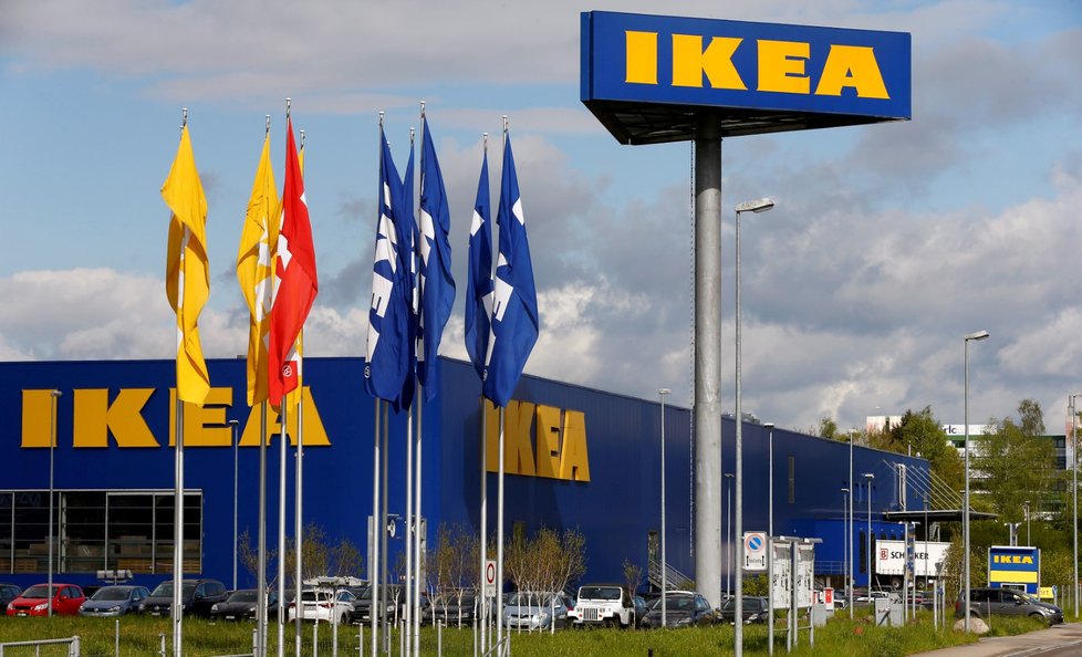 Obchodní řetězec IKEA se rozhodl postarat o opuštěné psy z ulice (ilustrační foto)