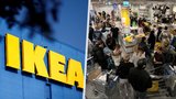 IKEA kvůli invazi na Ukrajinu pozastavila aktivity v Rusku: Lidé ji vzali útokem!