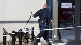 Dvojnásobná vražda ve švédském obchodním domě