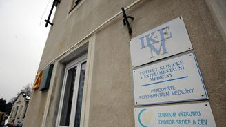 Bez inzulínových injekcí. IKEM vyvíjí léčbu cukrovky přeměnou pacientových buněk Bez inzulínových injekcí. IKEM vyvíjí léčbu cukrovky přeměnou pacientových buněk
