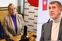 Ekonomka Švihlíková nebude radit Babišovi. Postěžovala si na „megahnojomet“