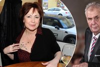 Hvězda Ulice Ilona Svobodová (62) mohla být první dámou? Balil ji prezident Zeman!