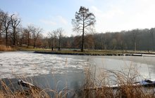 PŘEDPOVĚĎ POČASÍ: Na konci ledna bude až 13 °C!