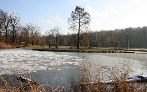 Park Stromovka (ilustrační foto)