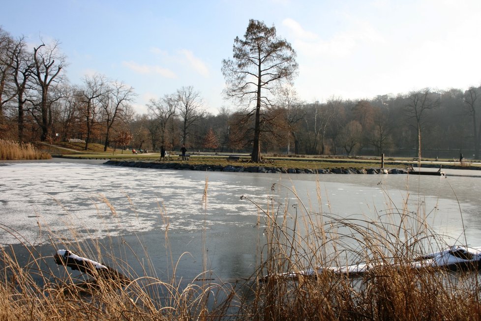 Park Stromovka 11. ledna 2020