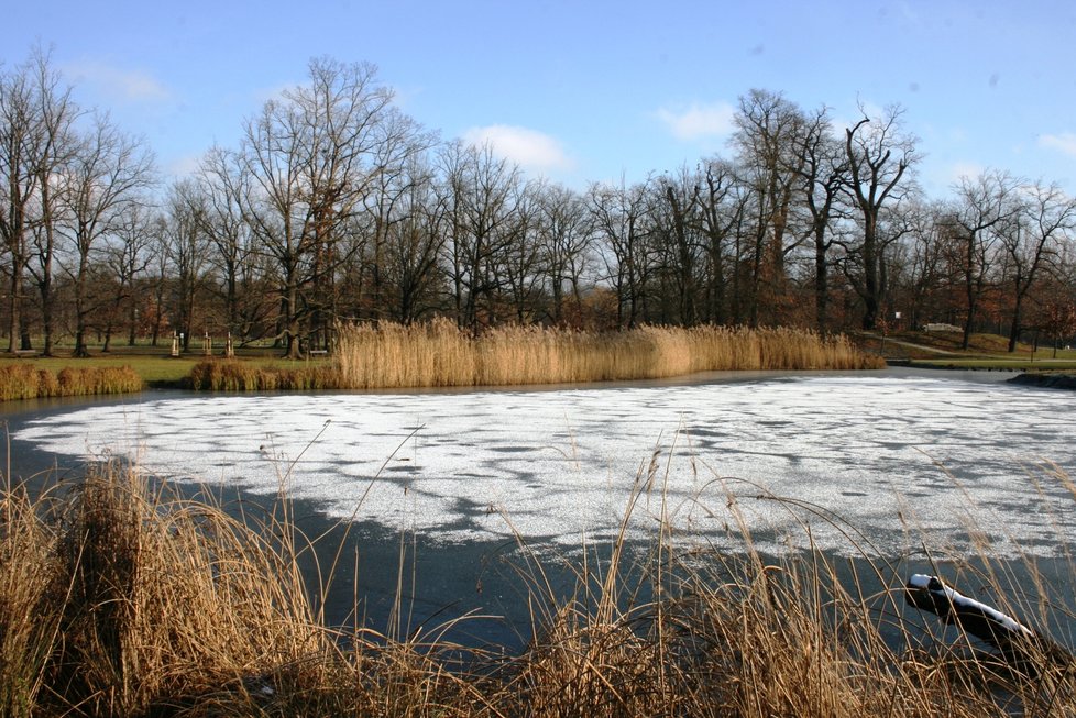 Park Stromovka 11. ledna 2020