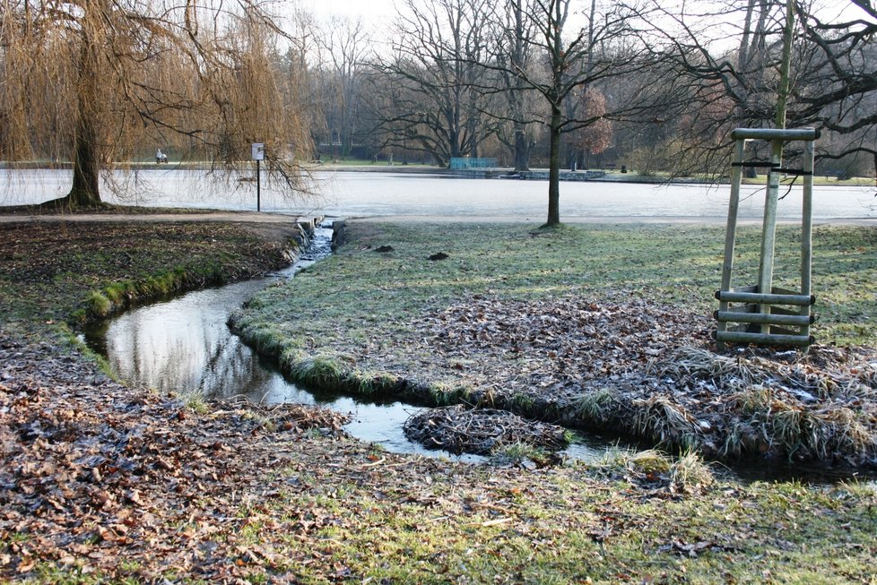 Park Stromovka 11. ledna 2020