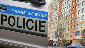 Po hádce vyhodila z 6. patra kolo: Policisté rozzuřenou ženu (51) odvezli na záchytku