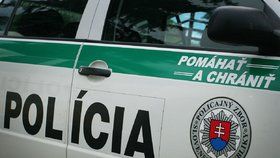 Policie na Slovensku obvinila osm lidí z mafiánských vražd. (ilustrační foto)