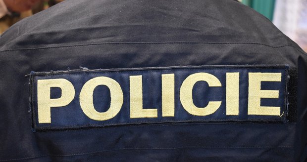 Zloděj měl pech: Vloupání do auta v Praze 6 sledoval policista, který bydlí naproti!