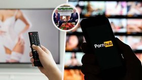 Statistiky pornostránky Pornhub za rok 2024 jsou velmi zajímavé.