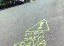 Na sociálních sítích kolují fotografie svéráznějších způsobů, kterými se nespokojení řidiči snaží upozornit na nebezpečné výmoly. (Liberec)
